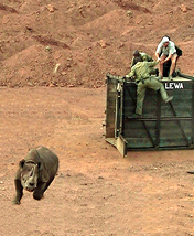 Bush Wars
